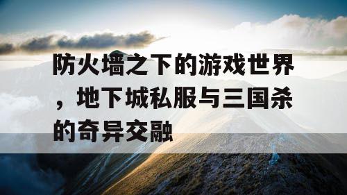 防火墙之下的游戏世界，地下城私服与三国杀的奇异交融