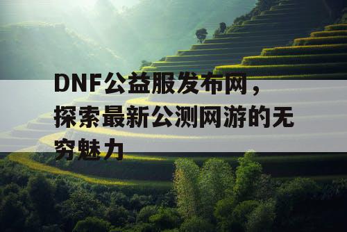 DNF公益服发布网，探索最新公测网游的无穷魅力