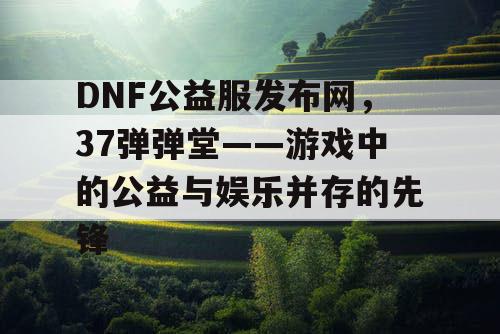 DNF公益服发布网，37弹弹堂——游戏中的公益与娱乐并存的先锋