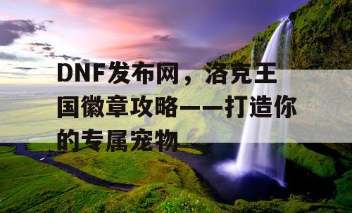 DNF发布网，洛克王国徽章攻略——打造你的专属宠物