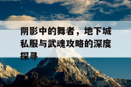 阴影中的舞者，地下城私服与武魂攻略的深度探寻