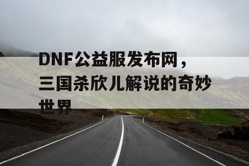 DNF公益服发布网，三国杀欣儿解说的奇妙世界