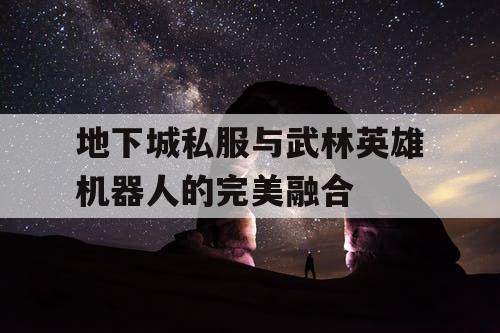 地下城私服与武林英雄机器人的完美融合