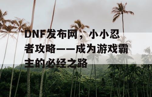 DNF发布网，小小忍者攻略——成为游戏霸主的必经之路