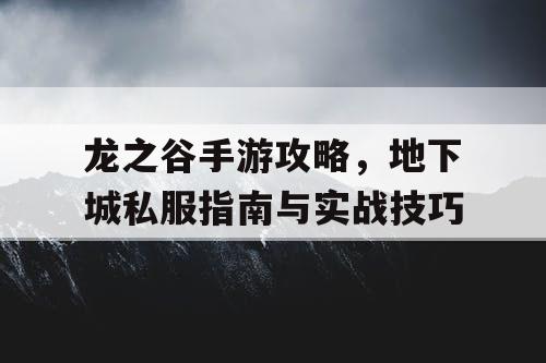 龙之谷手游攻略，地下城私服指南与实战技巧