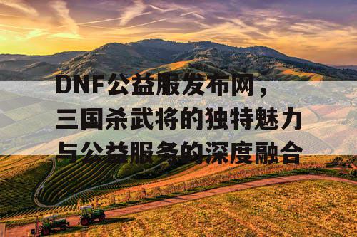 DNF公益服发布网，三国杀武将的独特魅力与公益服务的深度融合