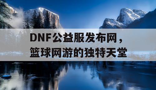 DNF公益服发布网，篮球网游的独特天堂