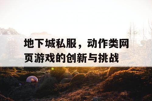 地下城私服，动作类网页游戏的创新与挑战